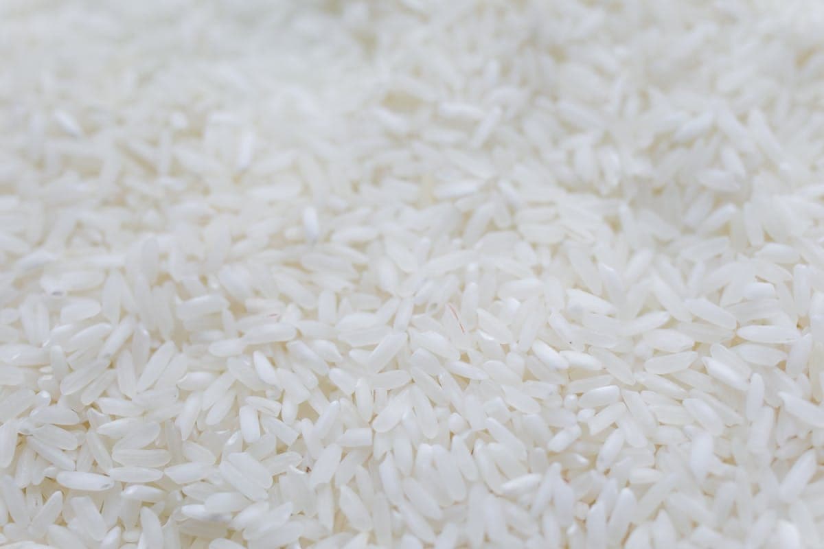 Thai Glutinous Rice — Premium Thai rice grains